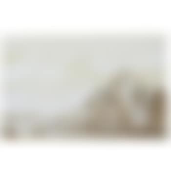 A View On The Amstel (preview)