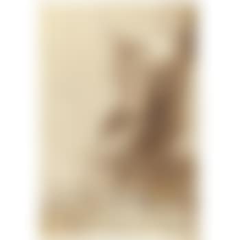 Saint Bartholomew (preview)