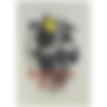 Wrong War Placard (preview)