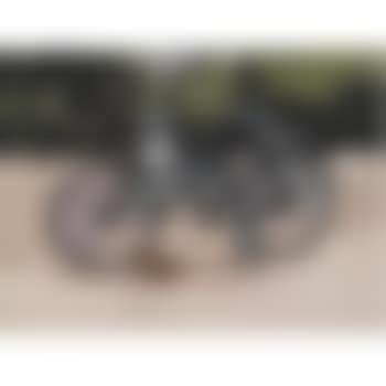 One Cow (preview)