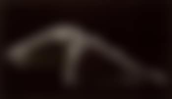 Perspective II (preview)