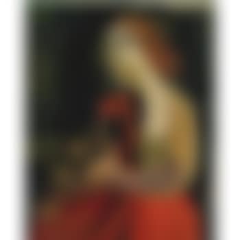 Woman With Birds (preview)