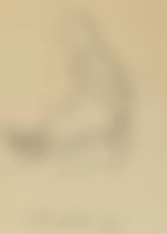 Footitt (preview)