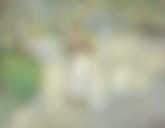 Spring in Central Park (preview)