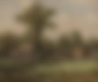 June, Paradise Valley (preview)