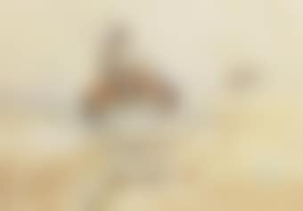 The Bronco Buster (preview)