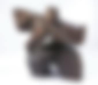 Taiji Series - Single Whip (preview)