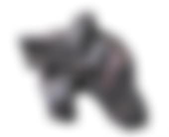 Taiji Series - Single Whip (preview)