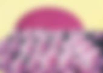The Sun (preview)