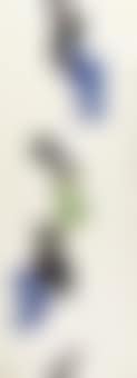 Composizione (preview)