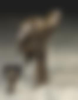Bird Snail Man (preview)