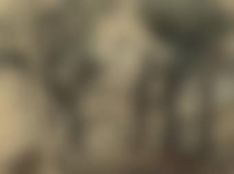 A bridge in Huy (preview)