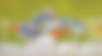 Horizontal Form in Grasses (preview)