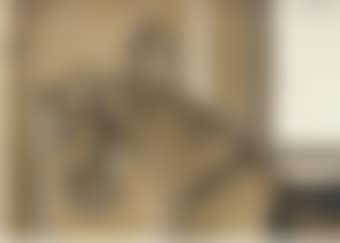 The Sparrowhawk (preview)