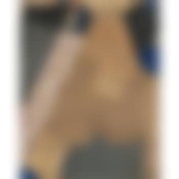 Mz 120 Leer (preview)