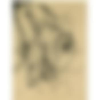 Zeichnung Zu Radierung II (Drawing For Etching II) (preview)