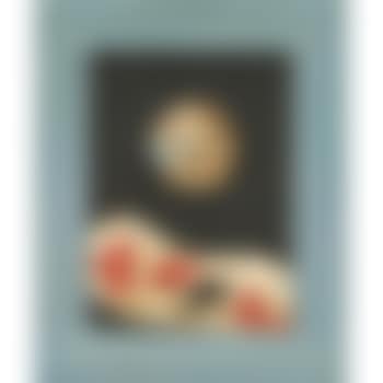 Orbis Pictus (preview)