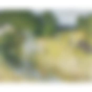La Fenaison (preview)