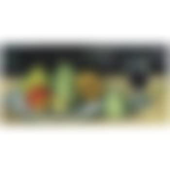 Verre Et Poires (preview)