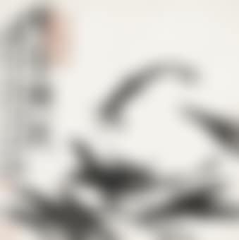 Fish (preview)