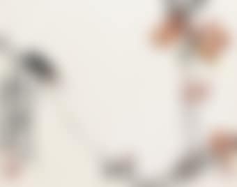 Cicada (preview)