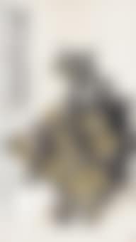 Chrysanthemum (preview)