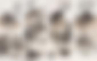 Landscapes (preview)