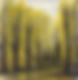 Autumn Forest (preview)