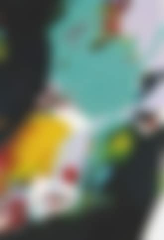 SF86-895 (preview)
