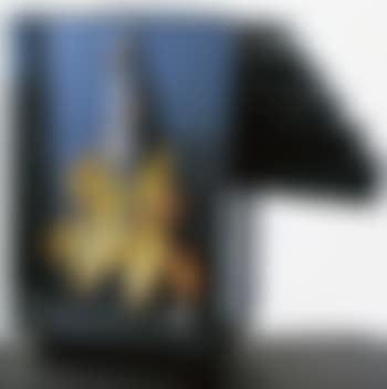 Violon menagere (preview)