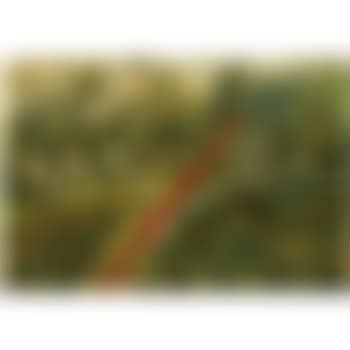 The Red Road (preview)