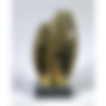 Four Forms (preview)