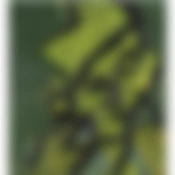 Head Of Gerda Boehm (preview)
