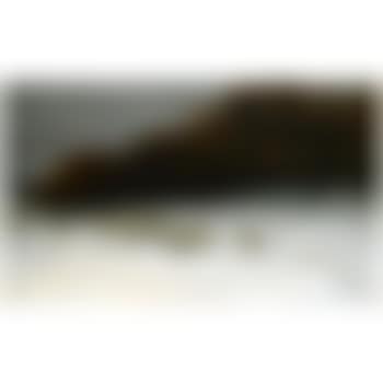 When Snow The Pasture Sheets (preview)