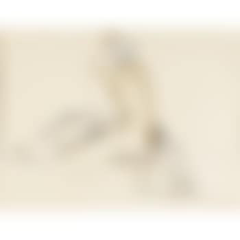 Study for the Lemnian woman (preview)