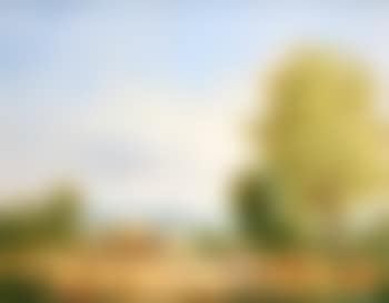 Harvest time (preview)