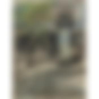 Paris (preview)