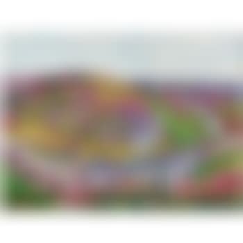 Paysage, Pont Aven (preview)