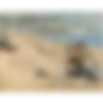 On The Beach, Dover (preview)
