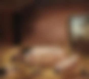 Four pigs with chickens in a barn (preview)