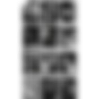 12 Rayographs (preview)