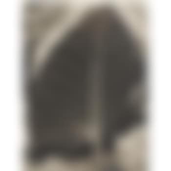 Leaf Of A Collocasia (preview)