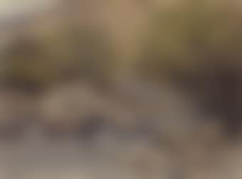 Early Spring, Cushendun River, Co Antrim (preview)