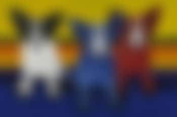 Technicolor Dreams (preview)