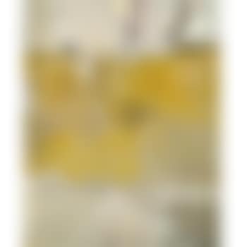 Albuquerque 8 (preview)