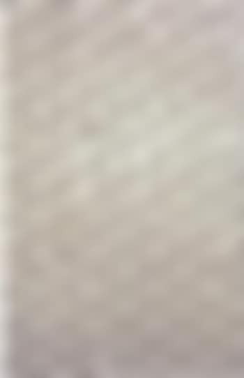 Untitled (P-15) (preview)