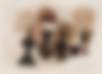 25. febr. 61 gr (preview)