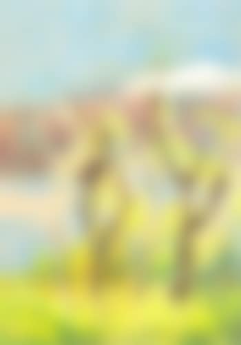 Baume vor Berglandschaft (preview)