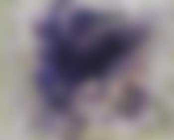 Composition (preview)