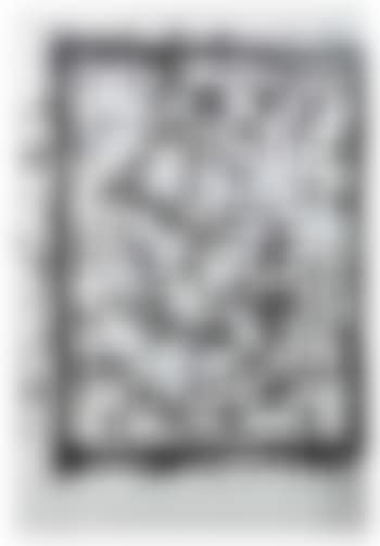 Untitled (P262) (preview)